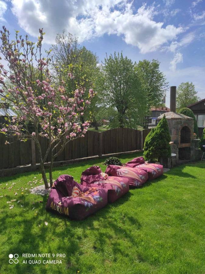 Zaliasis Kampas Nameliai Sventojoje Villa Šventoji Екстериор снимка